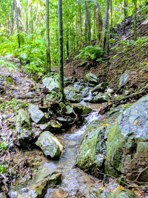 Mount Whitfield Conservation Park